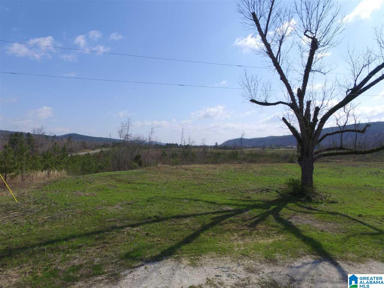 Shoal Creek Road, Unit 4 Springville, AL 35146 - Photo 7 of 10