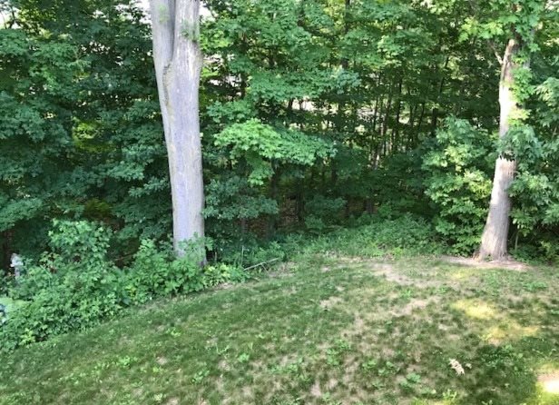 5140 Rainbow Lake Road Perrinton, MI 48871 - Photo 50 of 50 1844993-49.JPG