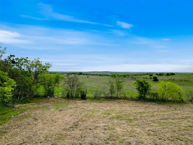 a view of a garden with an ocean