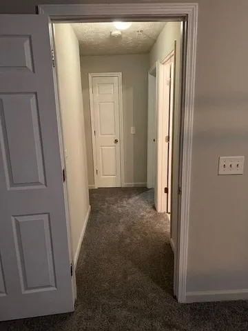 a bathroom with a shower and toilet