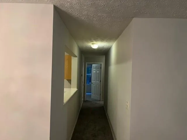 a kitchen with a sink and a refrigerator