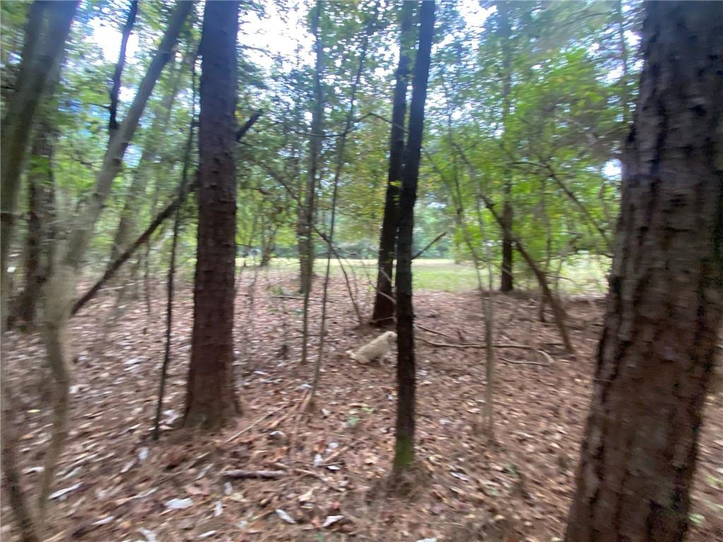 77302 Pennino Road Covington, LA 70435 - Photo 12 of 17 Gallery Image 12