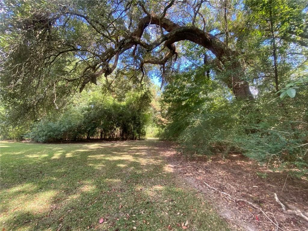 77302 Pennino Road Covington, LA 70435 - Photo 3 of 17 Gallery Image 3