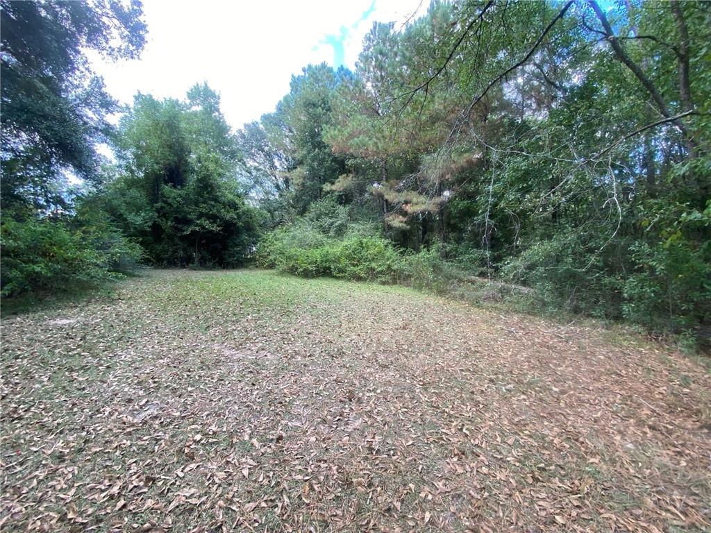 77302 Pennino Road Covington, LA 70435 - Photo 6 of 17 Gallery Image 6