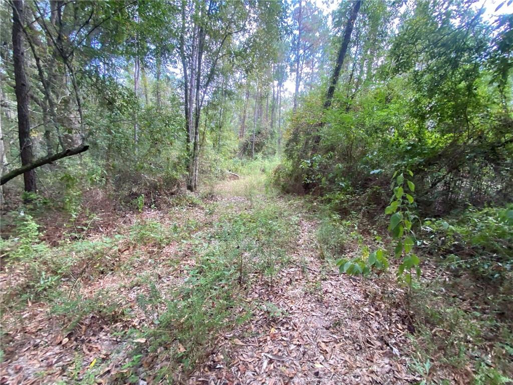 77302 Pennino Road Covington, LA 70435 - Photo 8 of 17 Gallery Image 8