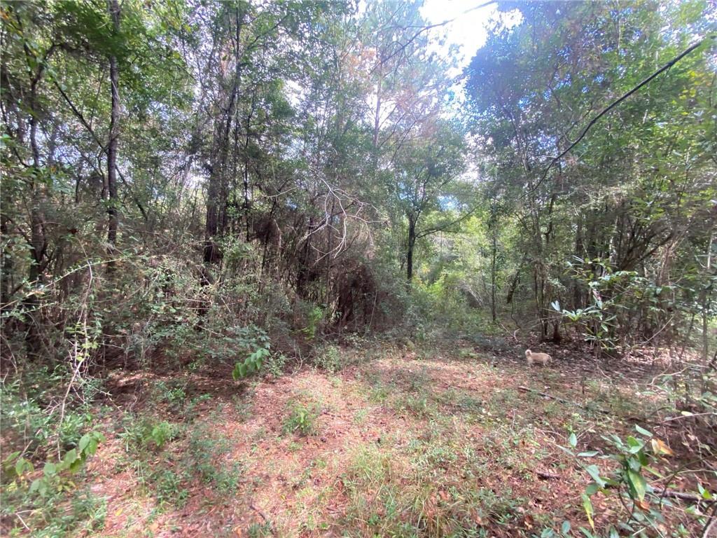 77302 Pennino Road Covington, LA 70435 - Photo 10 of 17 Gallery Image 10