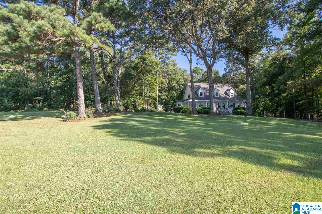 170 Burtram Road Springville, AL 35146 - Photo 5 of 50 Gallery Image 5