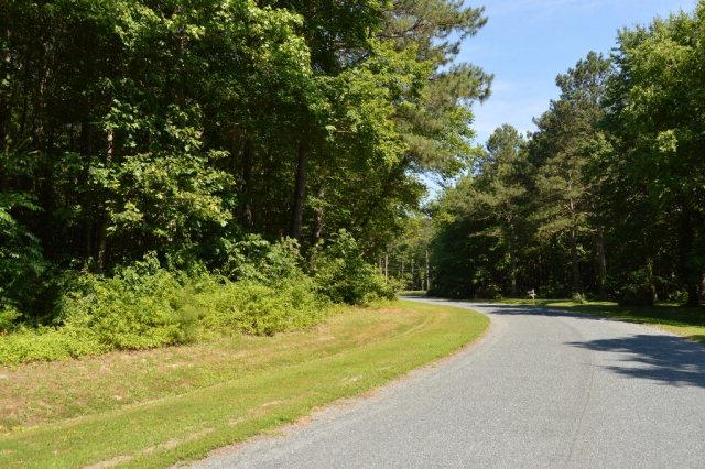 Lot 18 Yeo Neck Run Road, Unit 18 Melfa, VA 23410 - Photo 5 of 16