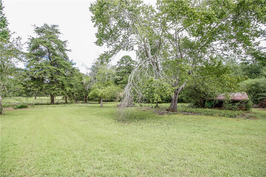 641 Barnes Road Seneca, SC 29672 - Photo 6 of 35 Gallery Image 6