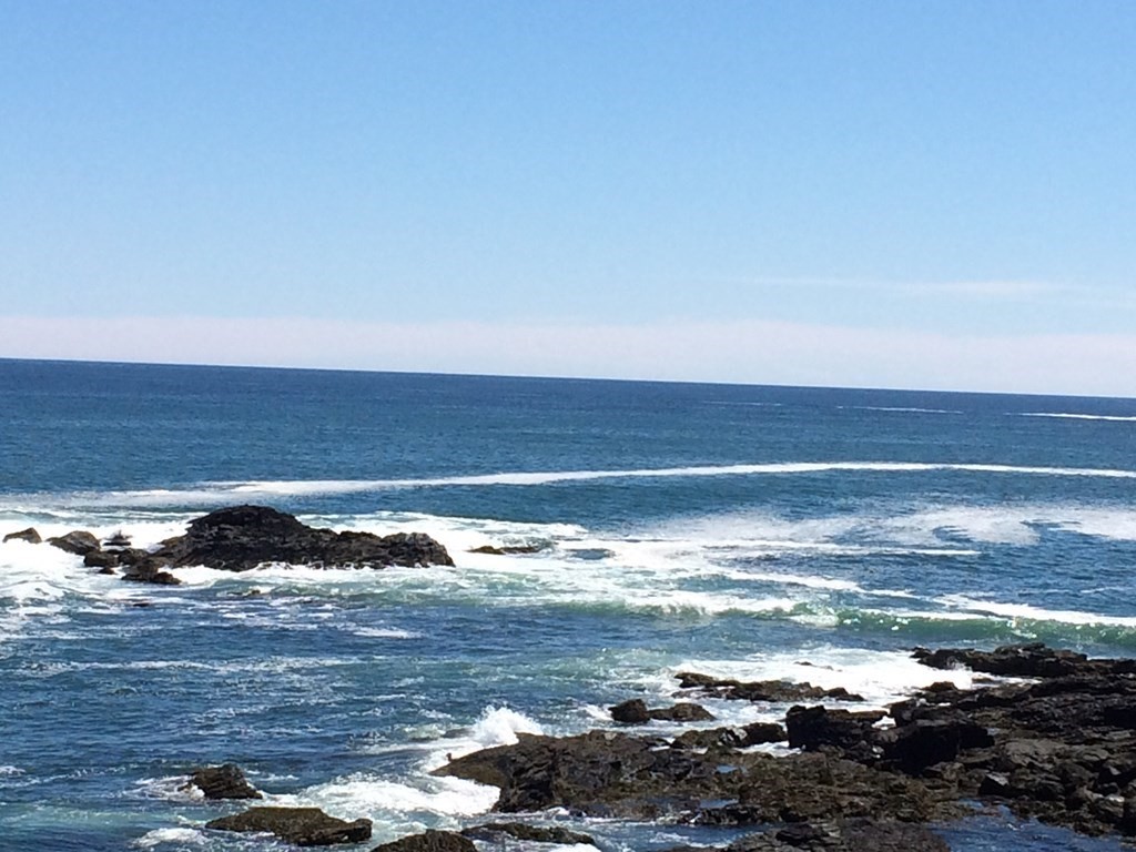 11 Spouting Horn Road Nahant, MA 01908 - Photo 8 of 8 Gallery Image 8