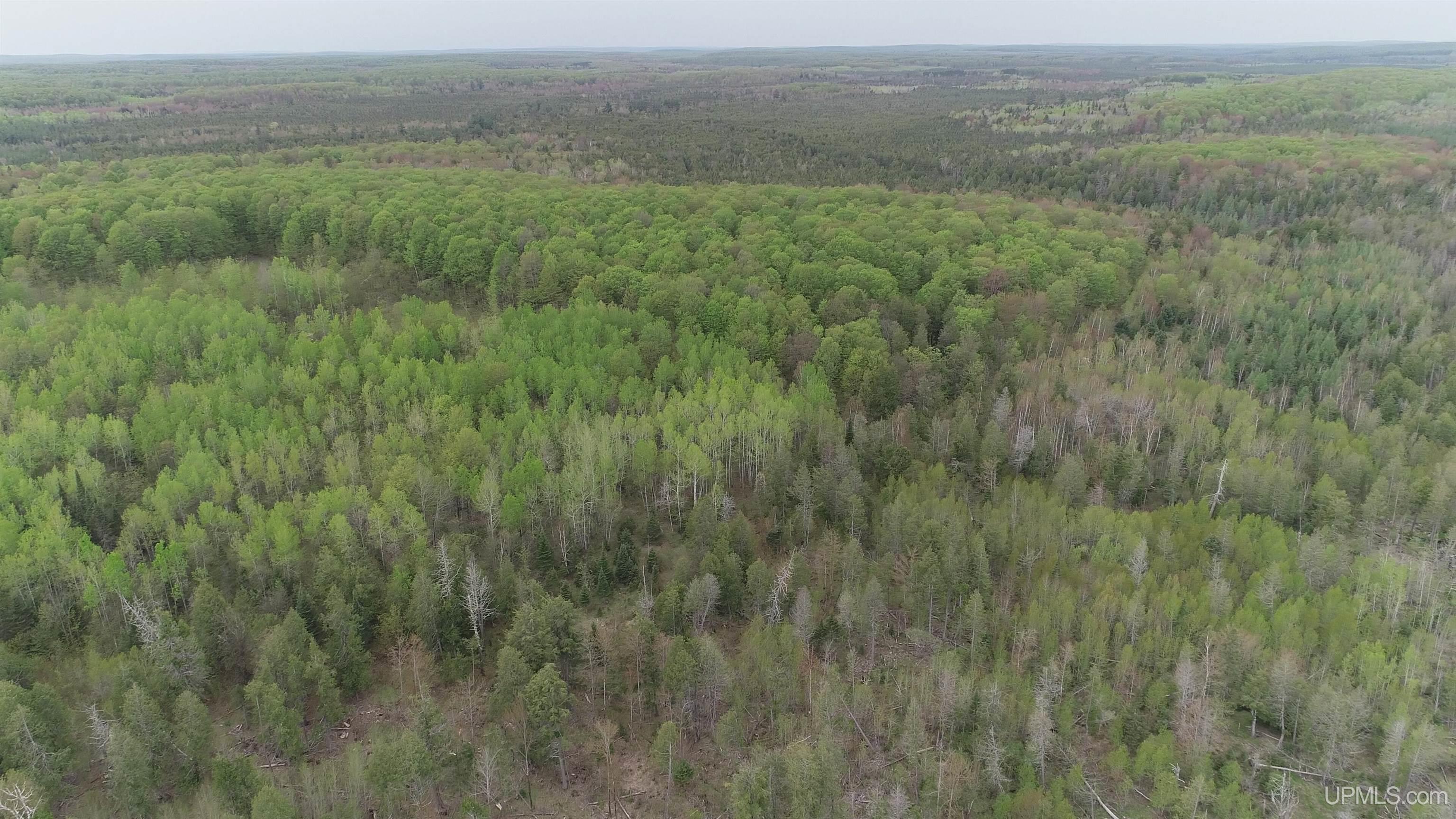 9 Rd Foster City Mi 49834 Road Felch, MI 49831 - Photo 9 of 32