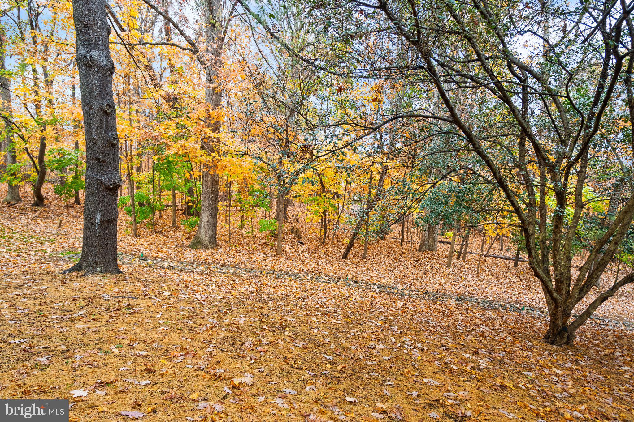 1639 Parkcrest Circle, Unit 200 Reston, VA 20190 - Photo 40 of 44