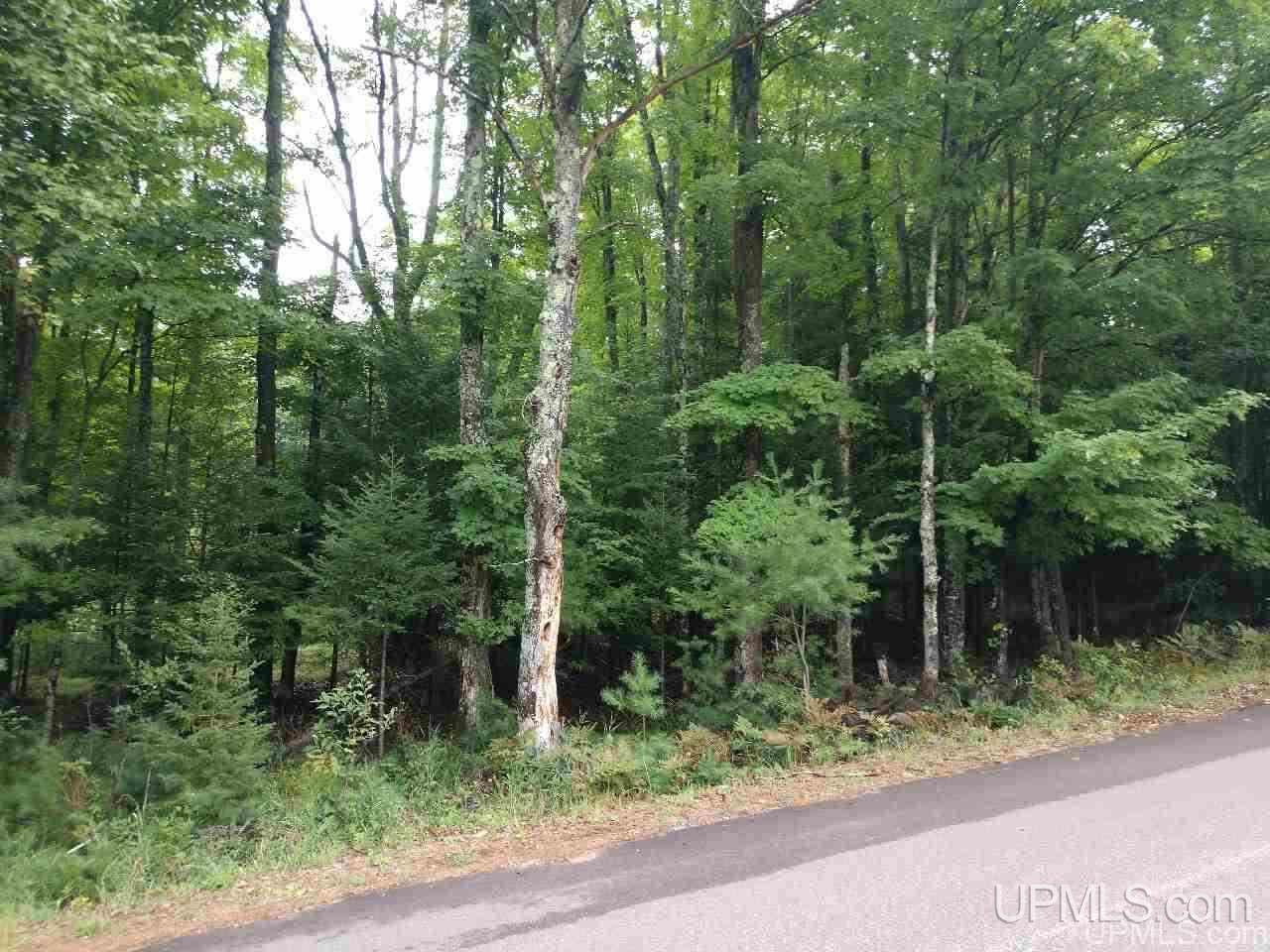 5-acres Co Rd Sa Cornell, MI 49818 - Photo 8 of 27