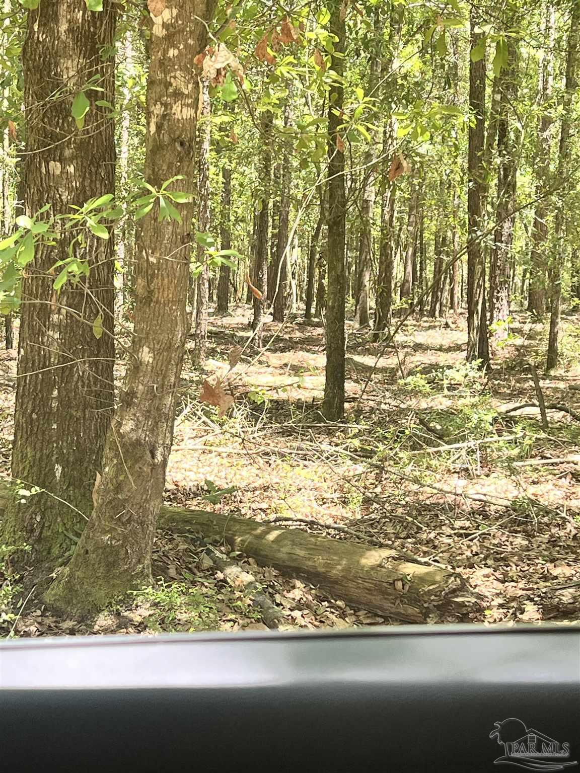 Colts Crossing Lane Milton, FL 32570 - Photo 2 of 4