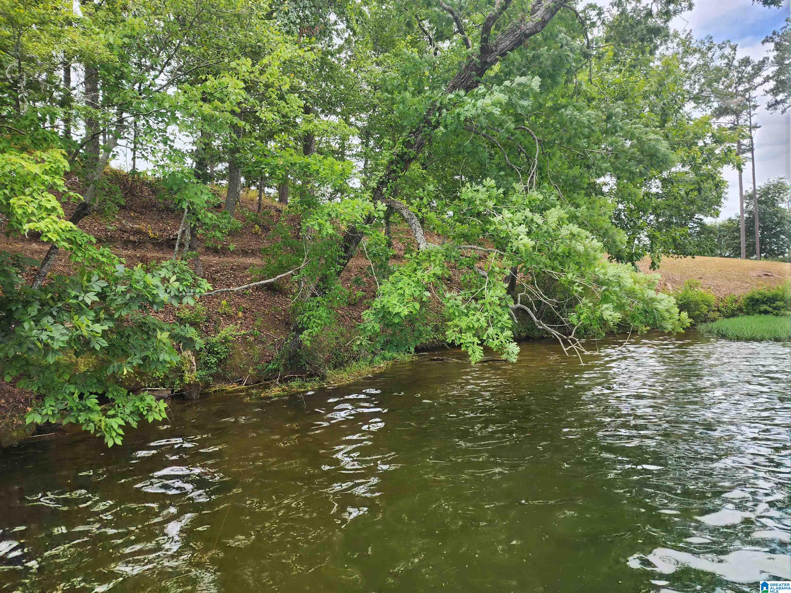 Lot 8 Eagle Mountain Road, Unit 8 Alexander City, AL 35010 - Photo 25 of 27