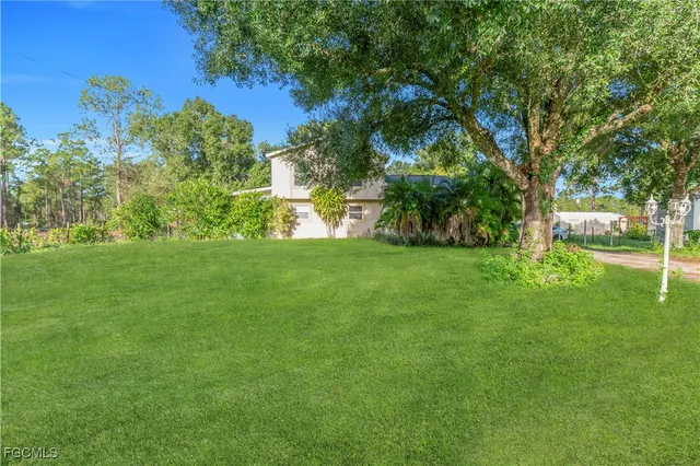 a view of a trees with a yard