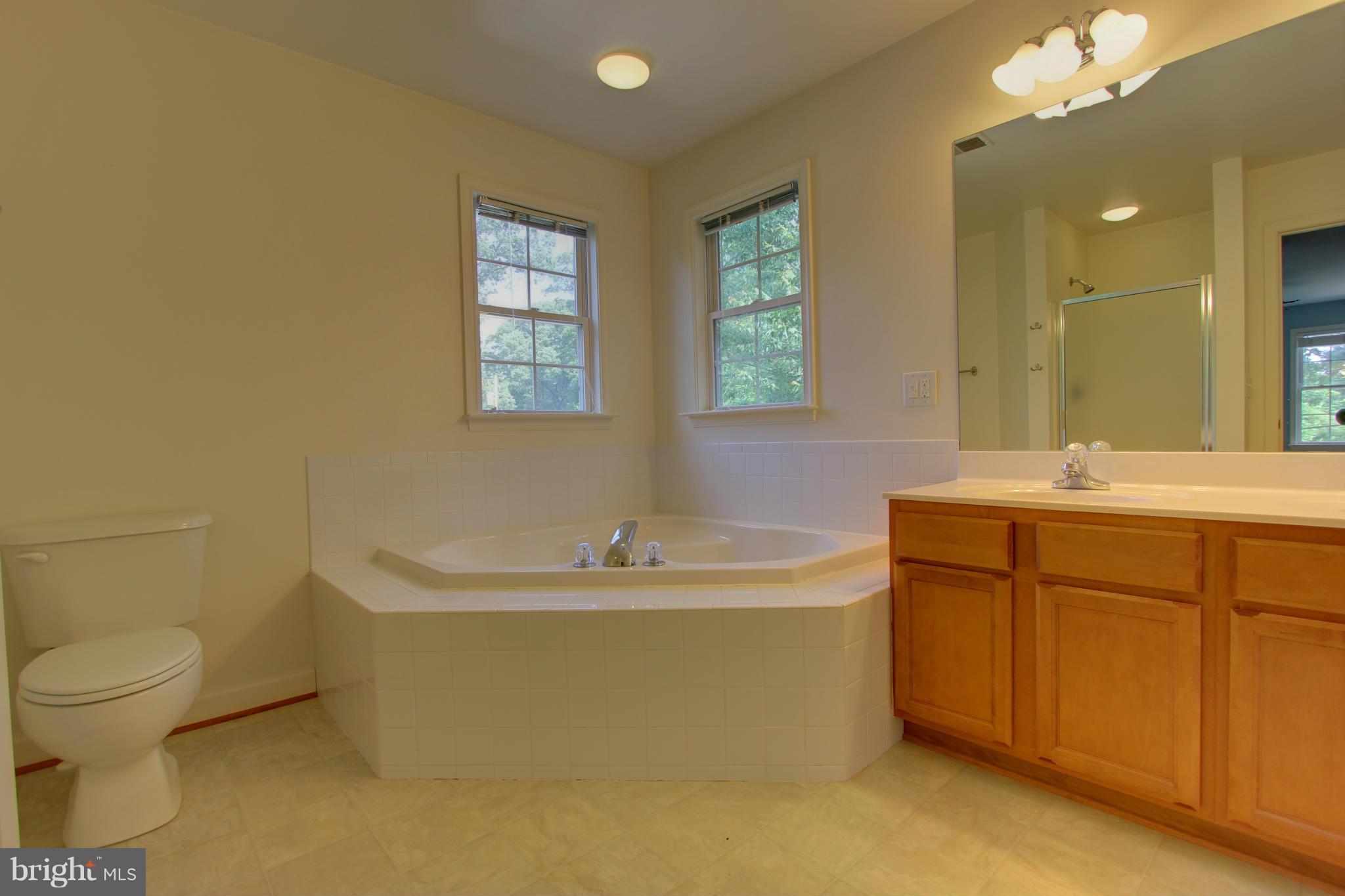 558 Sunset Knoll Road Pasadena, MD 21122 - Photo 21 of 30 a bathroom with a sink mirror toilet and bathtub