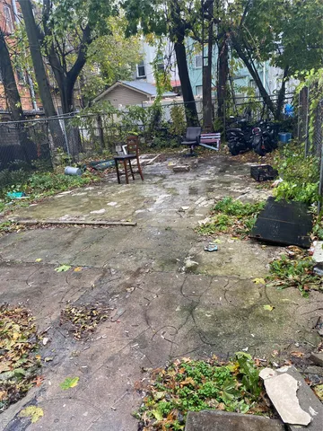 a view of a park with plants and trees