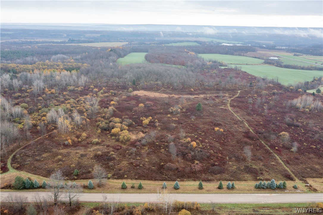 Vl Vl Newcomb Rd Pike Castile, NY 14427 - Photo 1 of 15