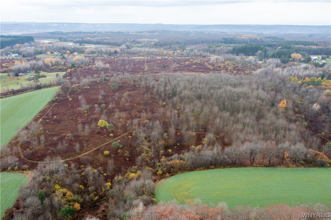 Vl Vl Newcomb Rd Pike Castile, NY 14427 - Photo 11 of 15