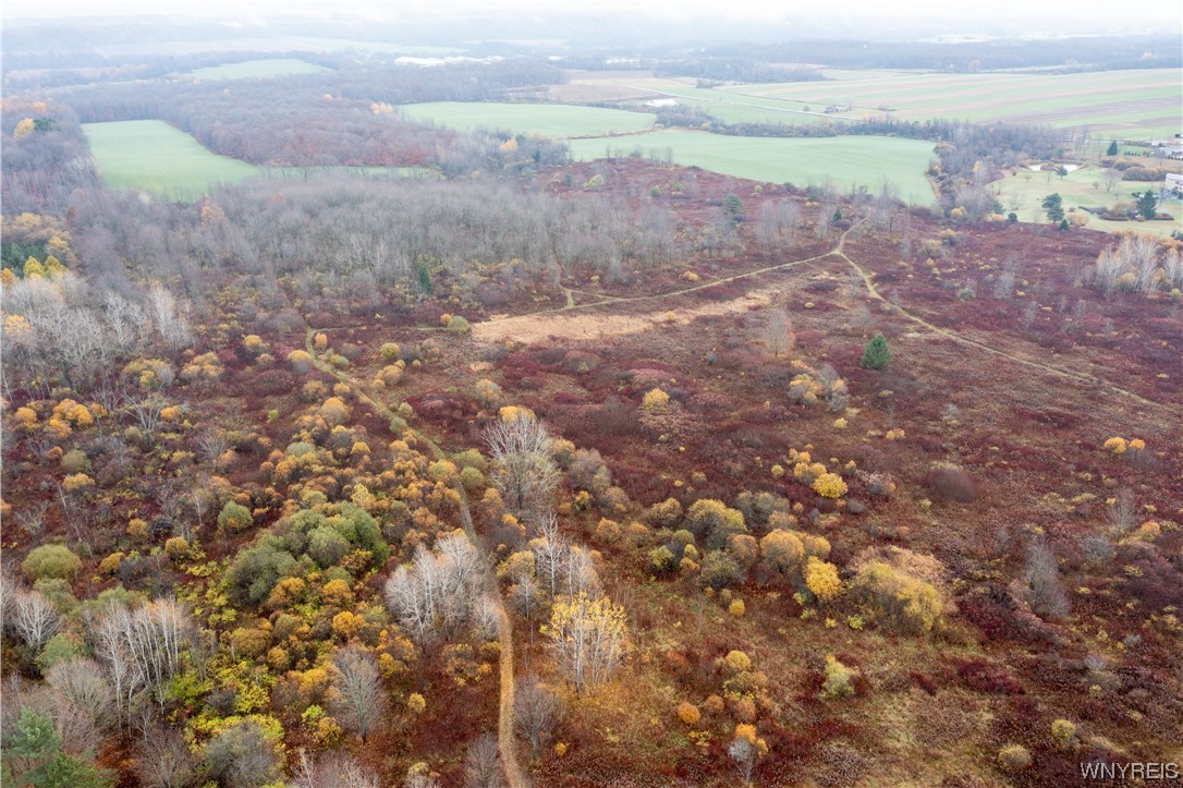 Vl Vl Newcomb Rd Pike Castile, NY 14427 - Photo 12 of 15