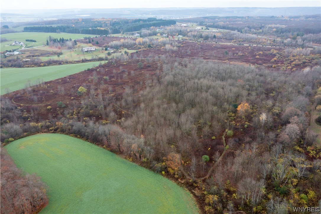 Vl Vl Newcomb Rd Pike Castile, NY 14427 - Photo 13 of 15