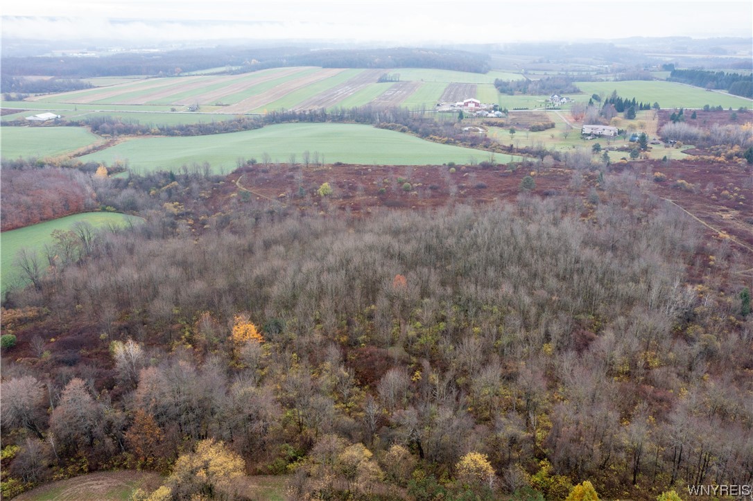 Vl Vl Newcomb Rd Pike Castile, NY 14427 - Photo 14 of 15