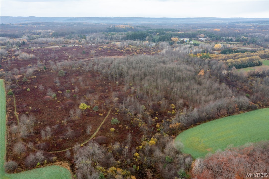 Vl Vl Newcomb Rd Pike Castile, NY 14427 - Photo 15 of 15