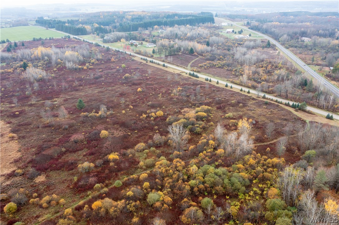 Vl Vl Newcomb Rd Pike Castile, NY 14427 - Photo 2 of 15