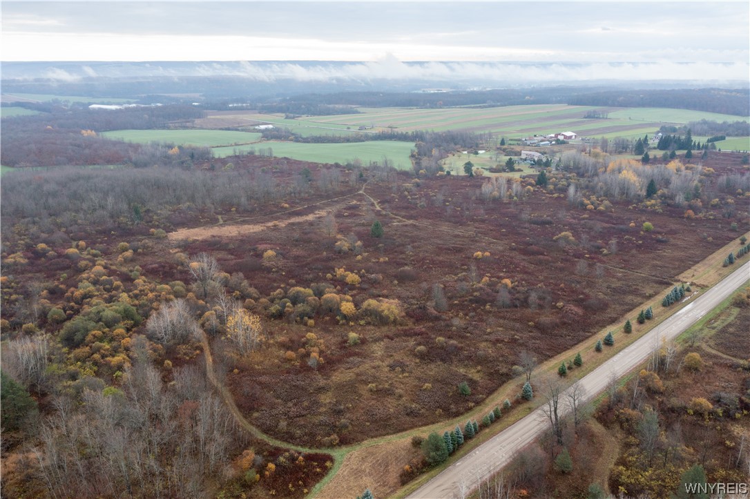 Vl Vl Newcomb Rd Pike Castile, NY 14427 - Photo 3 of 15