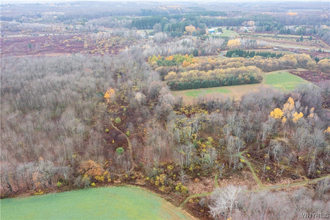 Vl Vl Newcomb Rd Pike Castile, NY 14427 - Photo 4 of 15