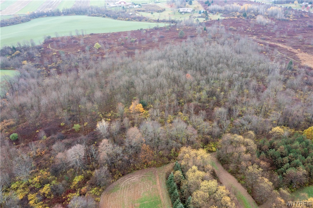 Vl Vl Newcomb Rd Pike Castile, NY 14427 - Photo 5 of 15