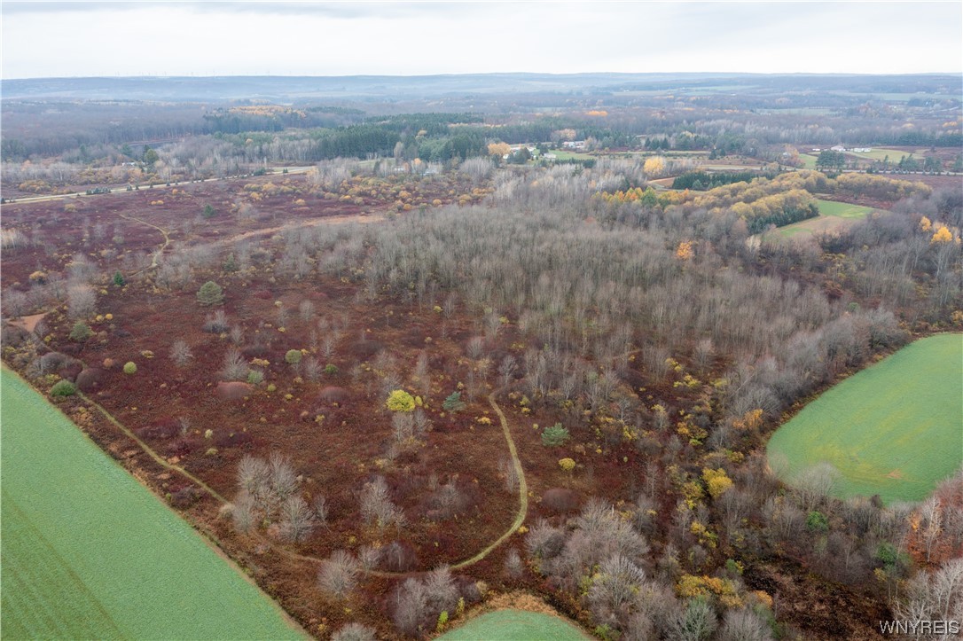 Vl Vl Newcomb Rd Pike Castile, NY 14427 - Photo 6 of 15