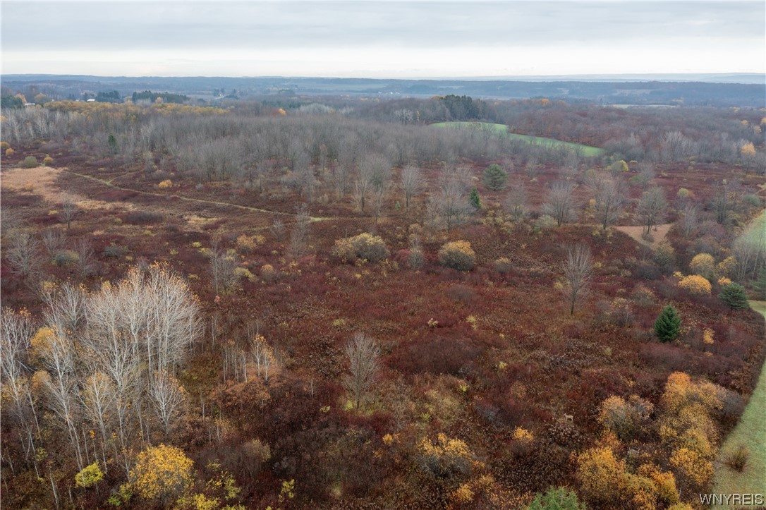 Vl Vl Newcomb Rd Pike Castile, NY 14427 - Photo 7 of 15