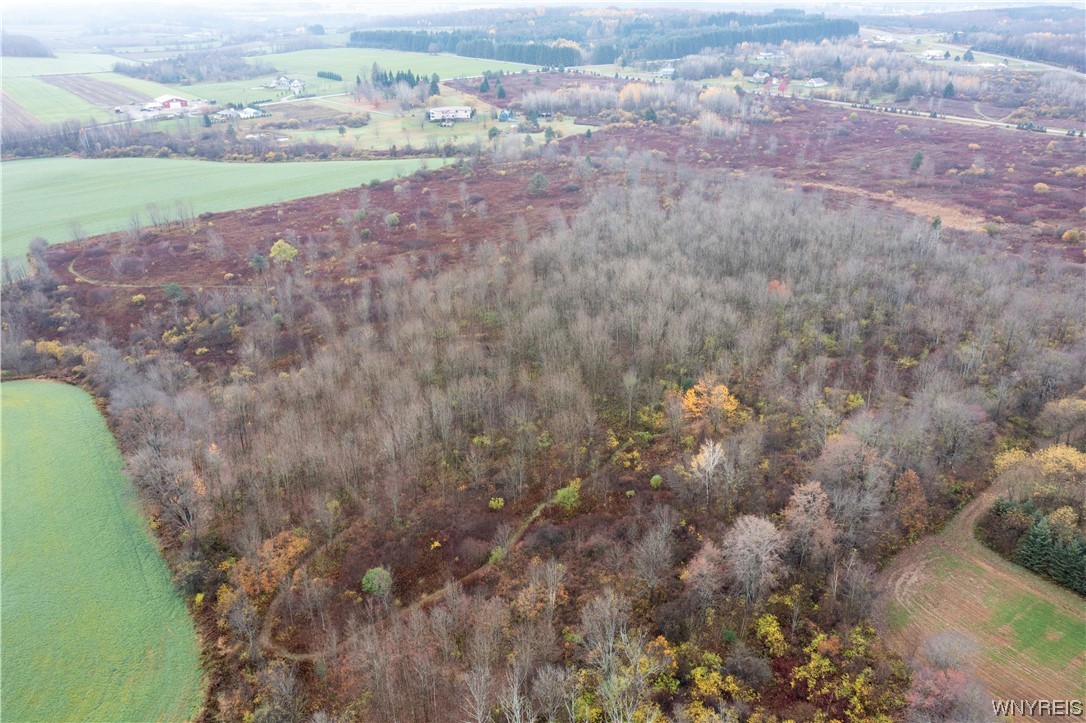 Vl Vl Newcomb Rd Pike Castile, NY 14427 - Photo 8 of 15