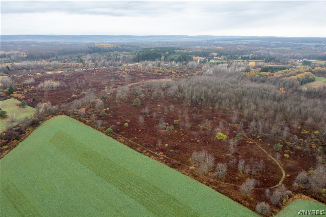 Vl Vl Newcomb Rd Pike Castile, NY 14427 - Photo 9 of 15