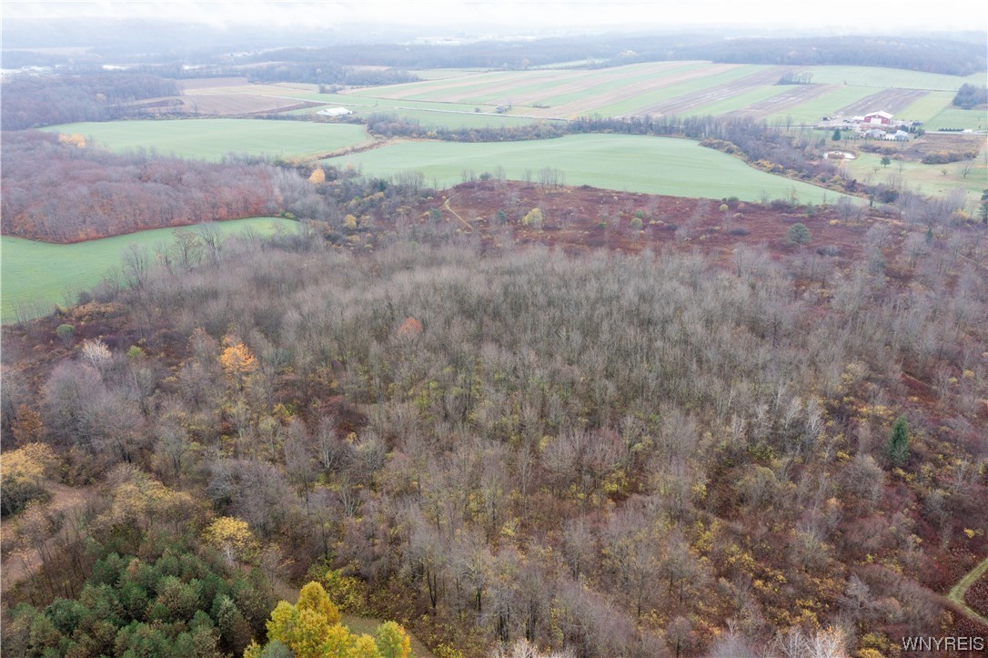 Vl Vl Newcomb Rd Pike Castile, NY 14427 - Photo 10 of 15