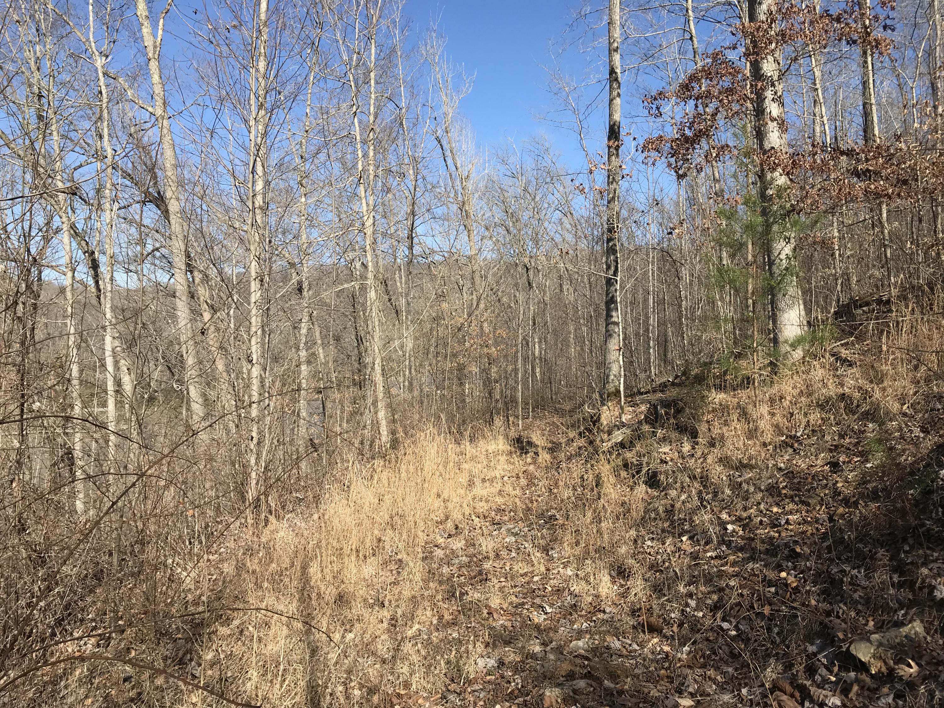 2110 Roberts Bend Road Burnside, KY 42519 - Photo 7 of 10 7D9B59B0-6342-4574-9F41-8B0D788B7C86<|>P