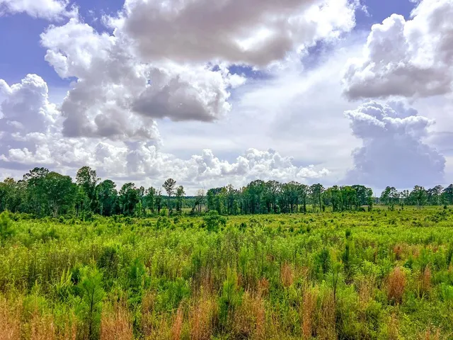 $212,500 | 5321 Graves Chapel Road, Gloster, MS 39638