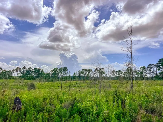 $212,500 | 5321 Graves Chapel Road, Gloster, MS 39638