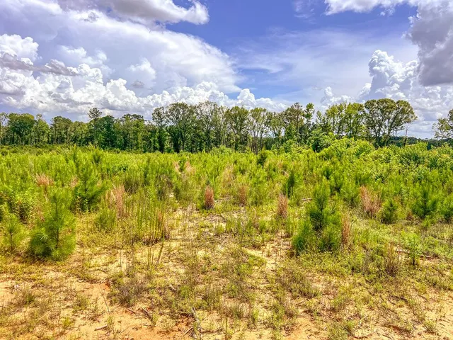 $212,500 | 5321 Graves Chapel Road, Gloster, MS 39638