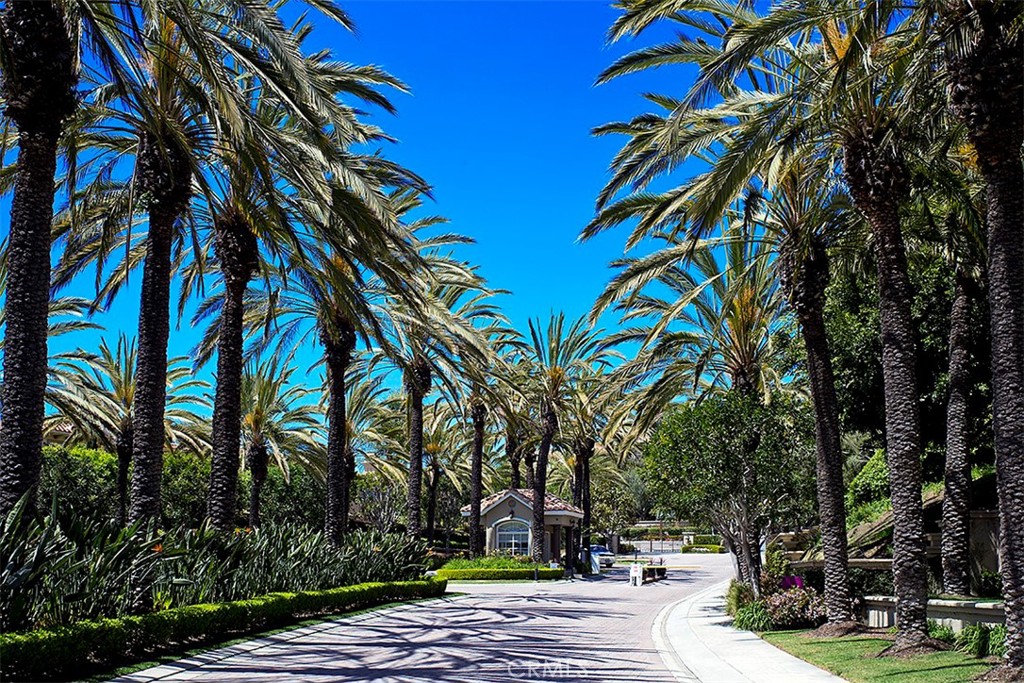 5 Via Monarca Street Dana Point, CA 92629 - Photo 54 of 64 a view of a yard with plants and trees