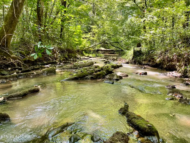 $8,100,000 | 400 Little Dogwood Valley Road, Kingston, TN 37763