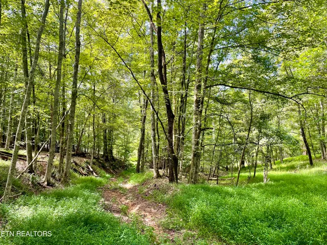 $8,100,000 | 400 Little Dogwood Valley Road, Kingston, TN 37763