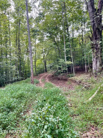 $8,100,000 | 400 Little Dogwood Valley Road, Kingston, TN 37763