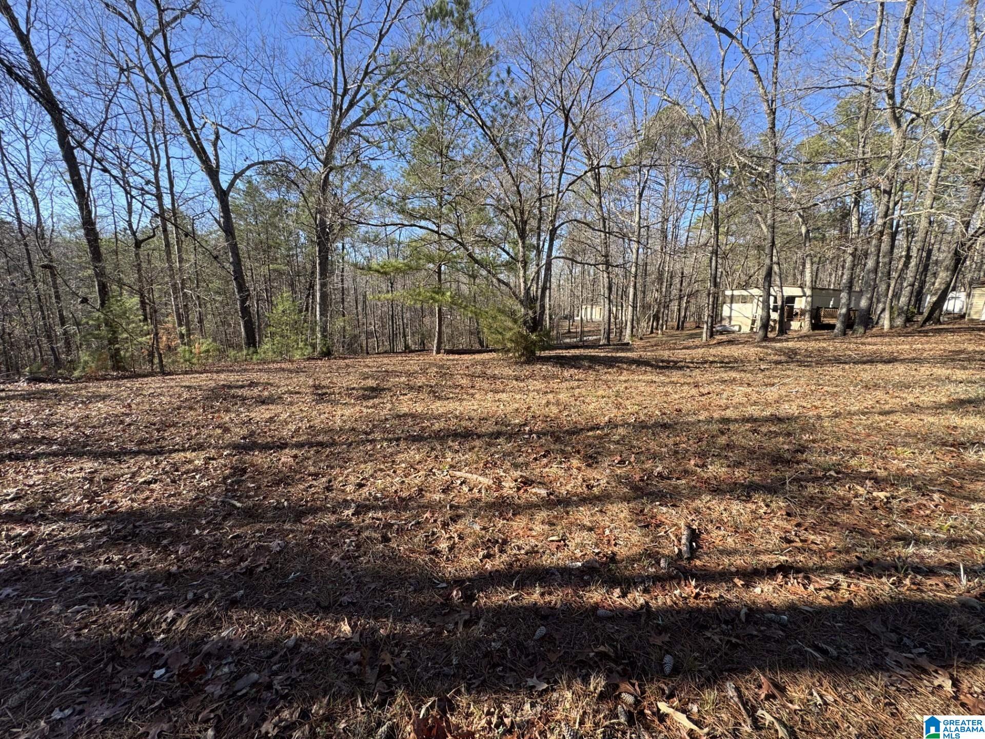 2570 Mt View Road, Unit 13251 Hayden, AL 35079 - Photo 1 of 13