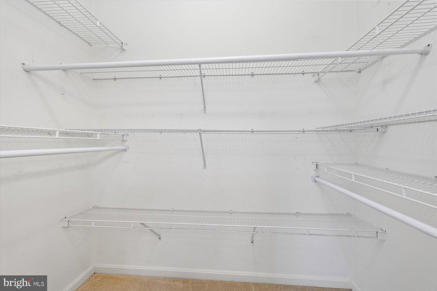 6906 Castleton Drive Fredericksburg, VA 22407 - Photo 23 of 31 Primary Closet