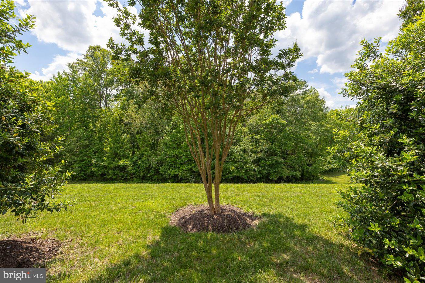 6906 Castleton Drive Fredericksburg, VA 22407 - Photo 31 of 31 Common Area