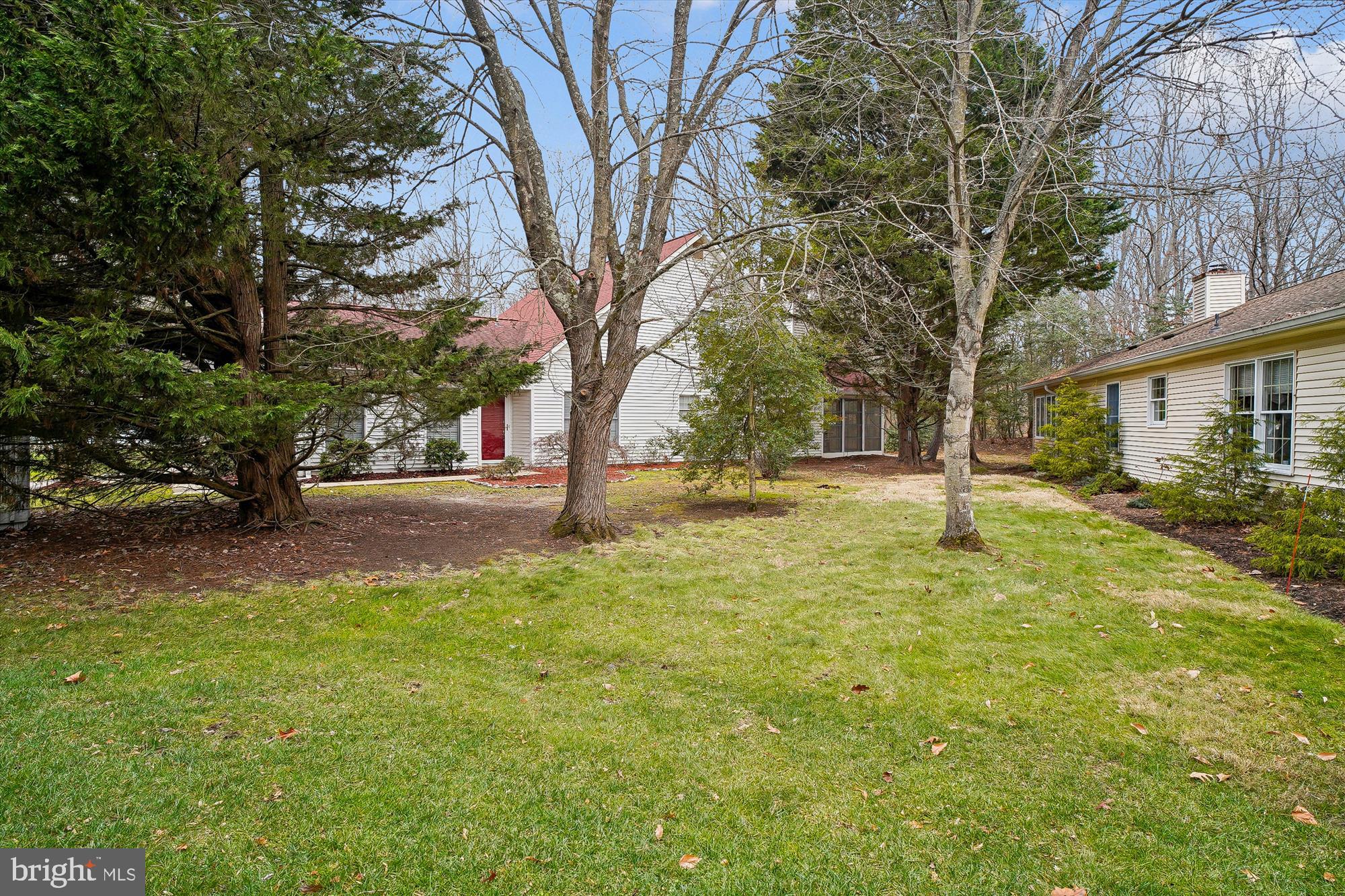 524 Coover Road Annapolis, MD 21401 - Photo 8 of 67 a view of yard with trees