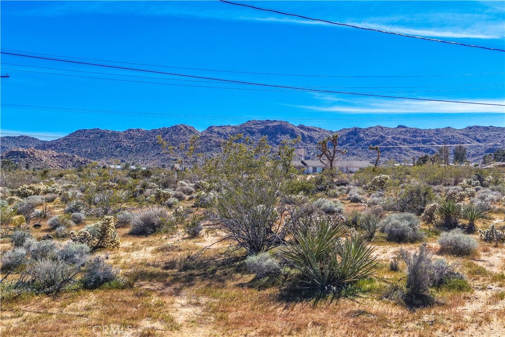 7273 Sunny Vista Road Joshua Tree, CA 92252 - Photo 29 of 37